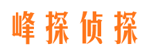 湛河侦探公司